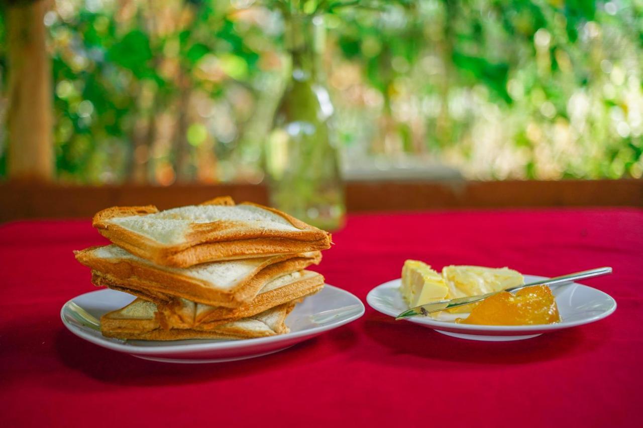 Dambulla Kings Inn Екстер'єр фото